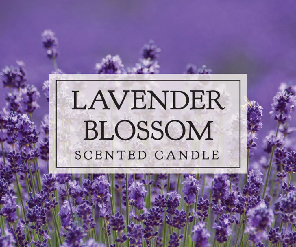 DII Lavender Blossom Single Wick Candle Set of 2