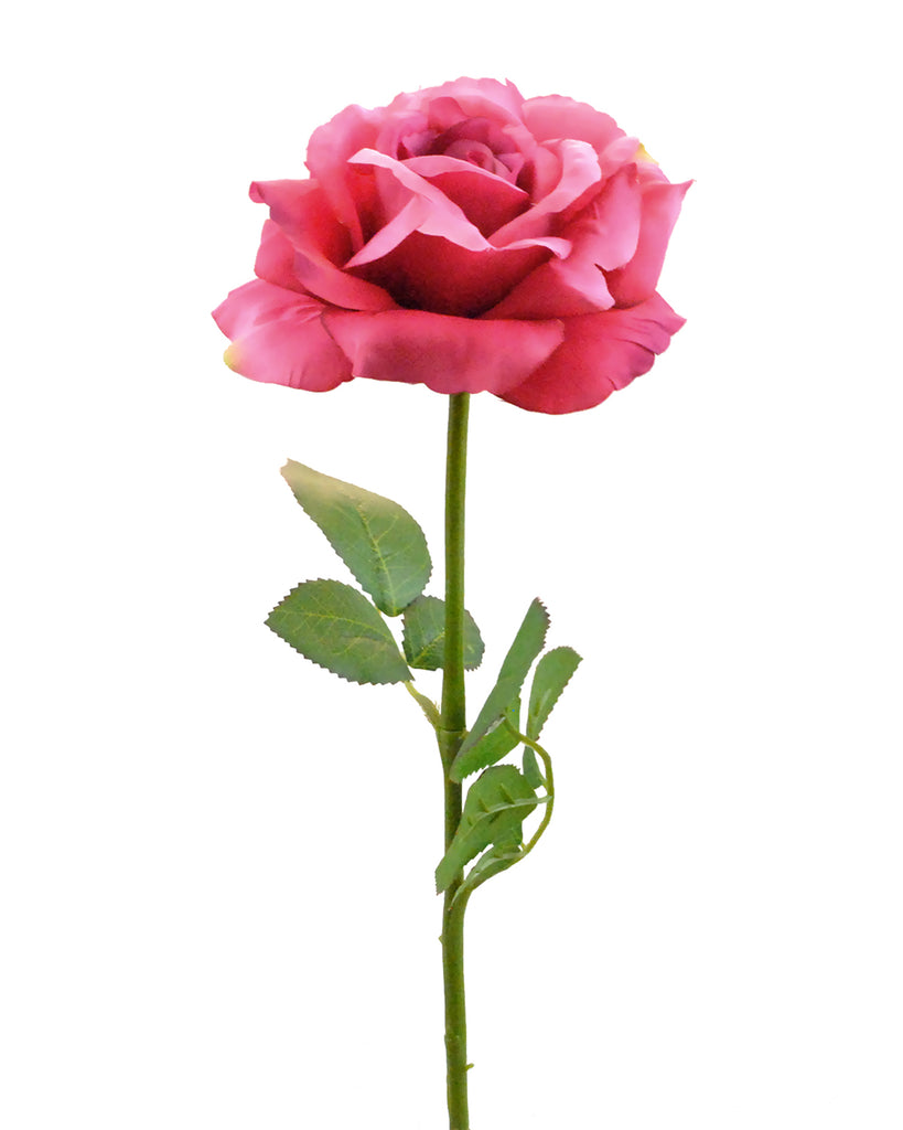 DII Flower Open Rose Pink Set of 6