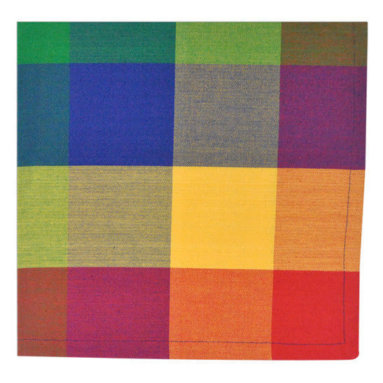 Palette Check Indian Summer Napkin - DII Design Imports