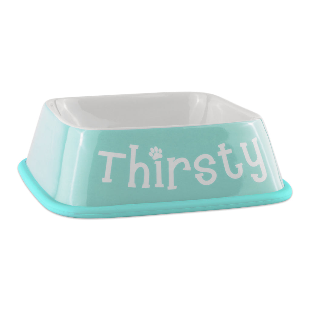Hungry/Thirsty Aqua Pet Bowl Square Set of 2