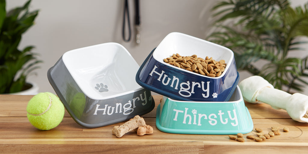 Hungry/Thirsty Aqua Pet Bowl Square Set of 2