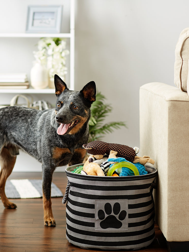 Polyester Pet Bin Stripe With Paw Patch Black Round Medium 12X15X15