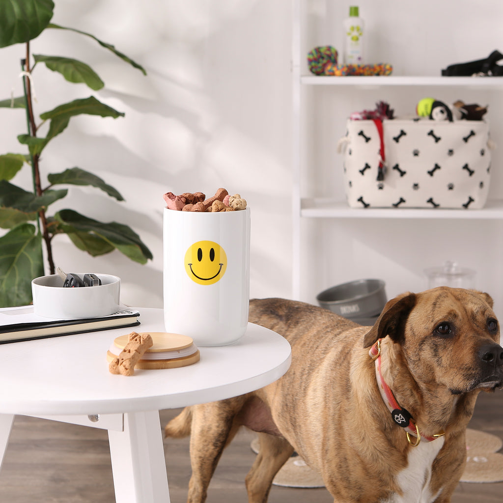 Smiley Face Ceramic Treat Canister