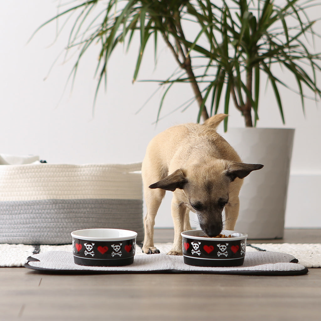 Pet Bowl Bad To The Bone Small 4.25Dx2H Set of 2