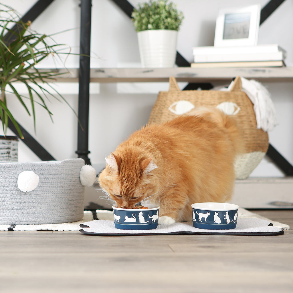Pet Bowl Cats Meow Navy Small 4.25Dx2H Set of 2