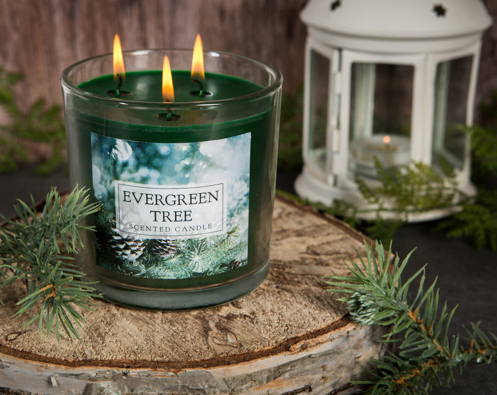 DII Evergreen Tree 3 Wick Scented Candle