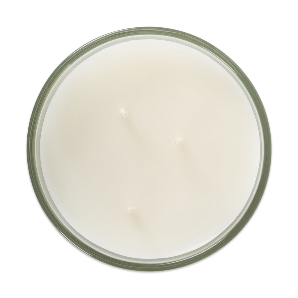 DII Coconut Breeze 3 Wick Scented Candle