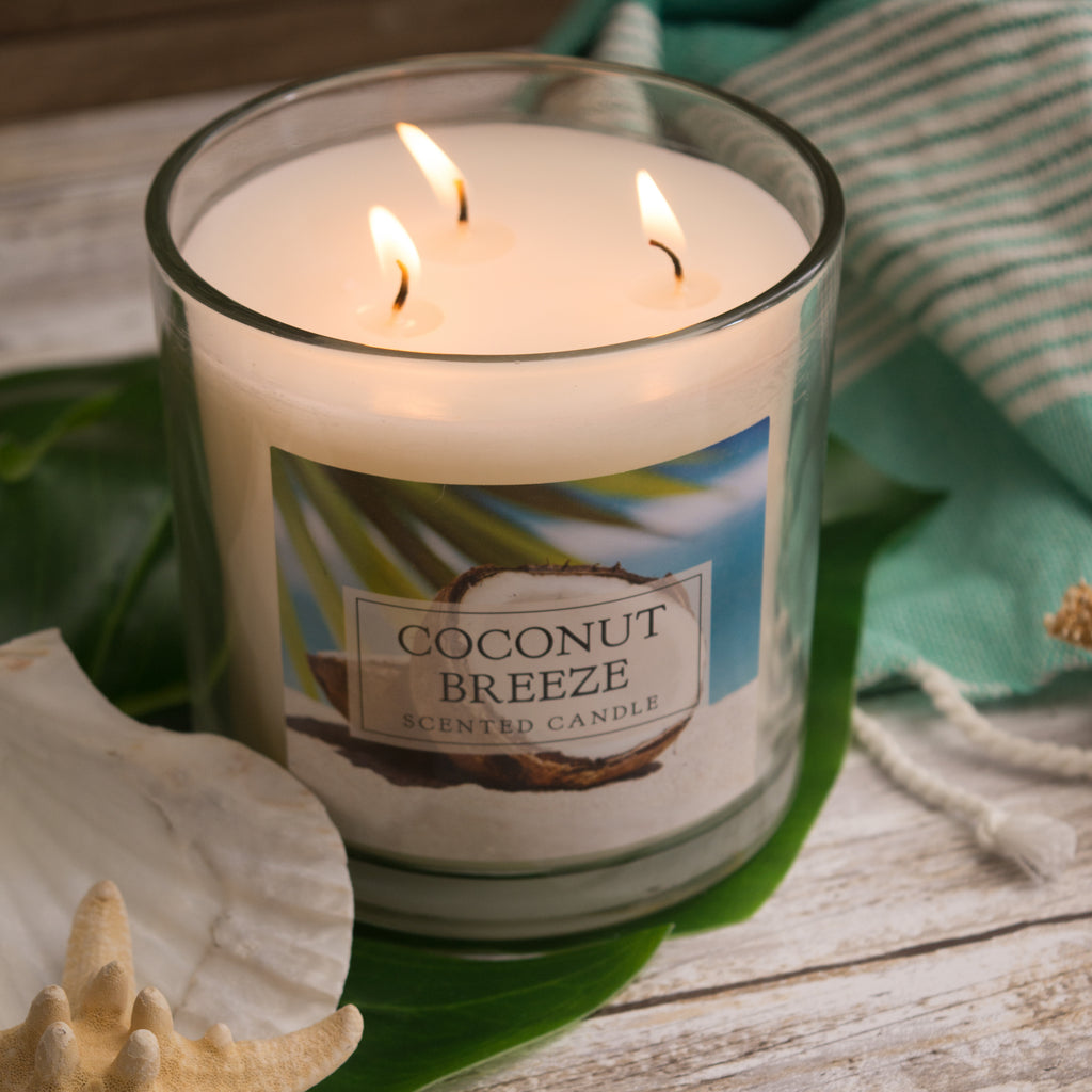 DII Coconut Breeze 3 Wick Scented Candle