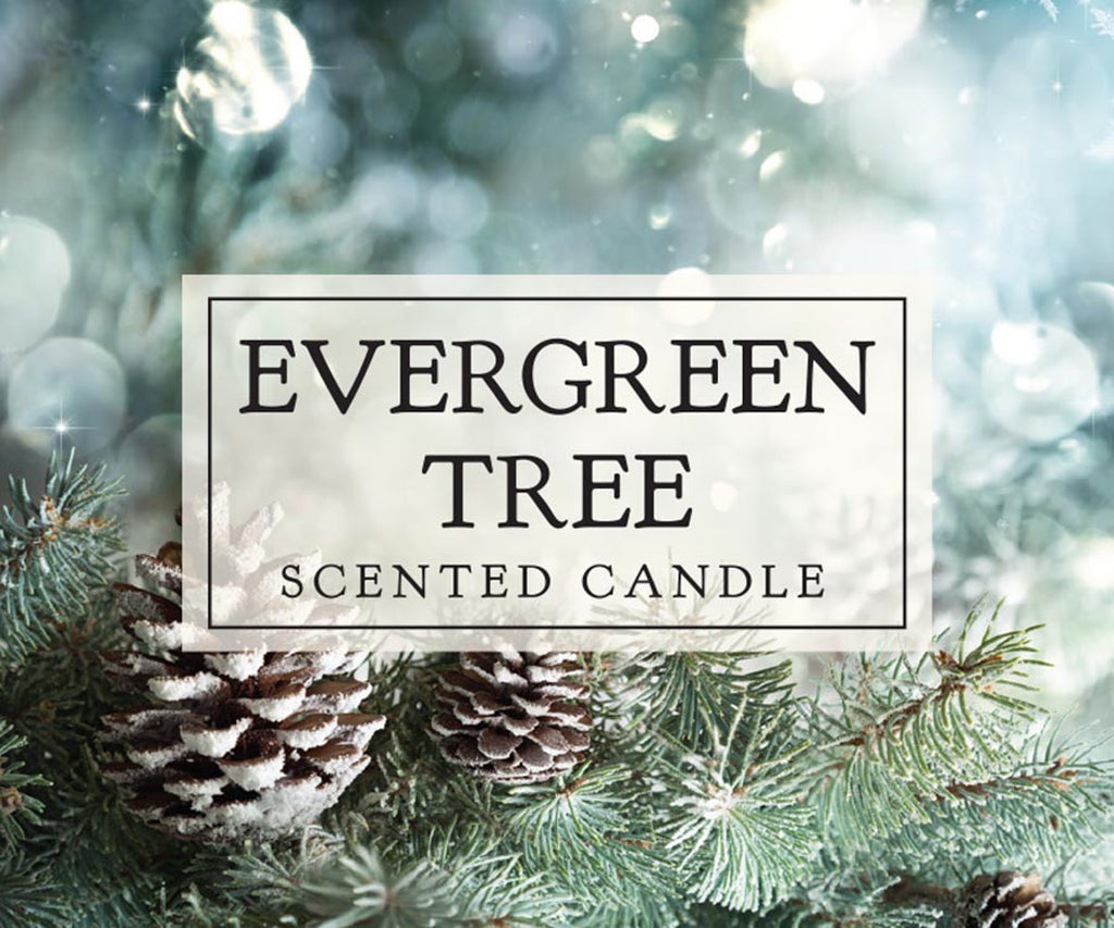 Evergreen Tree Single Wick Candle Set of 2