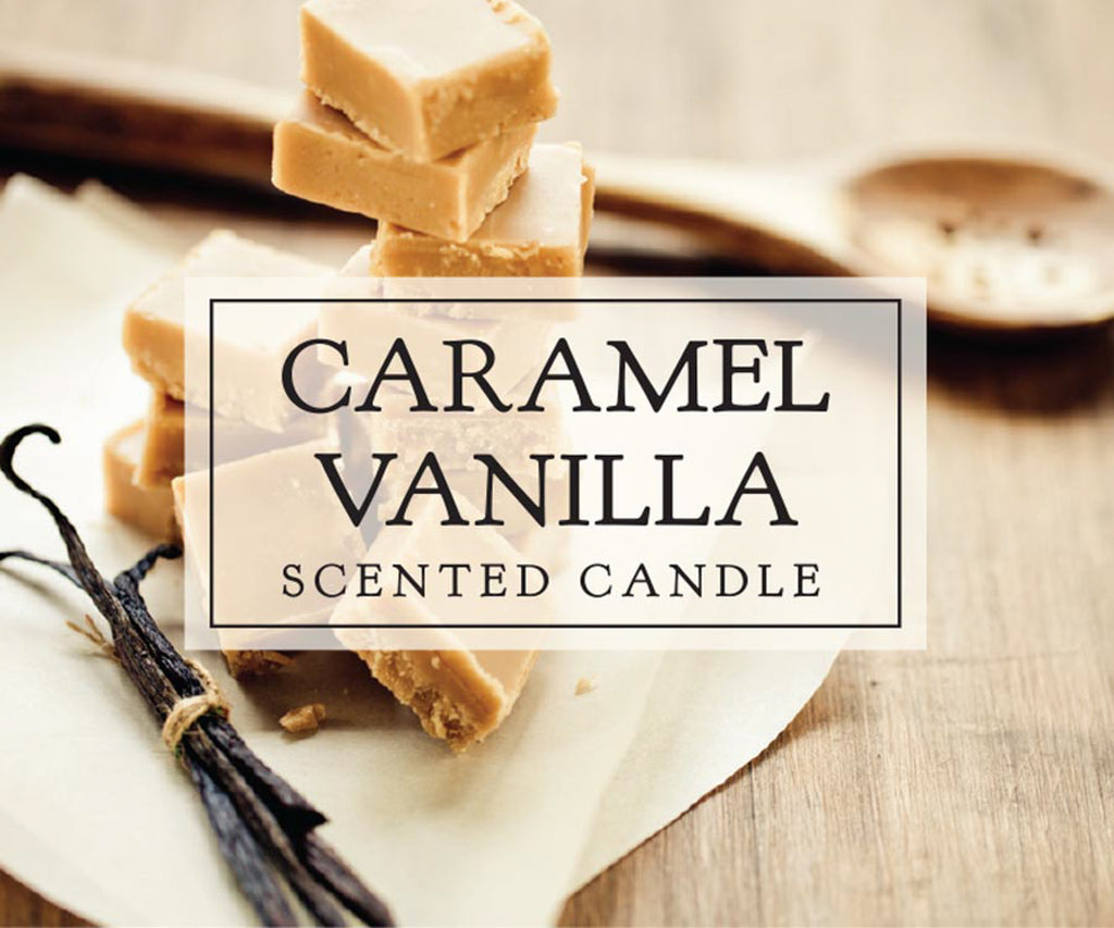 DII Carmel Vanilla Single Wick Candle Set of 2