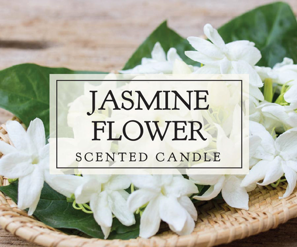DII Jasmine Single Wick Candle Set of 2
