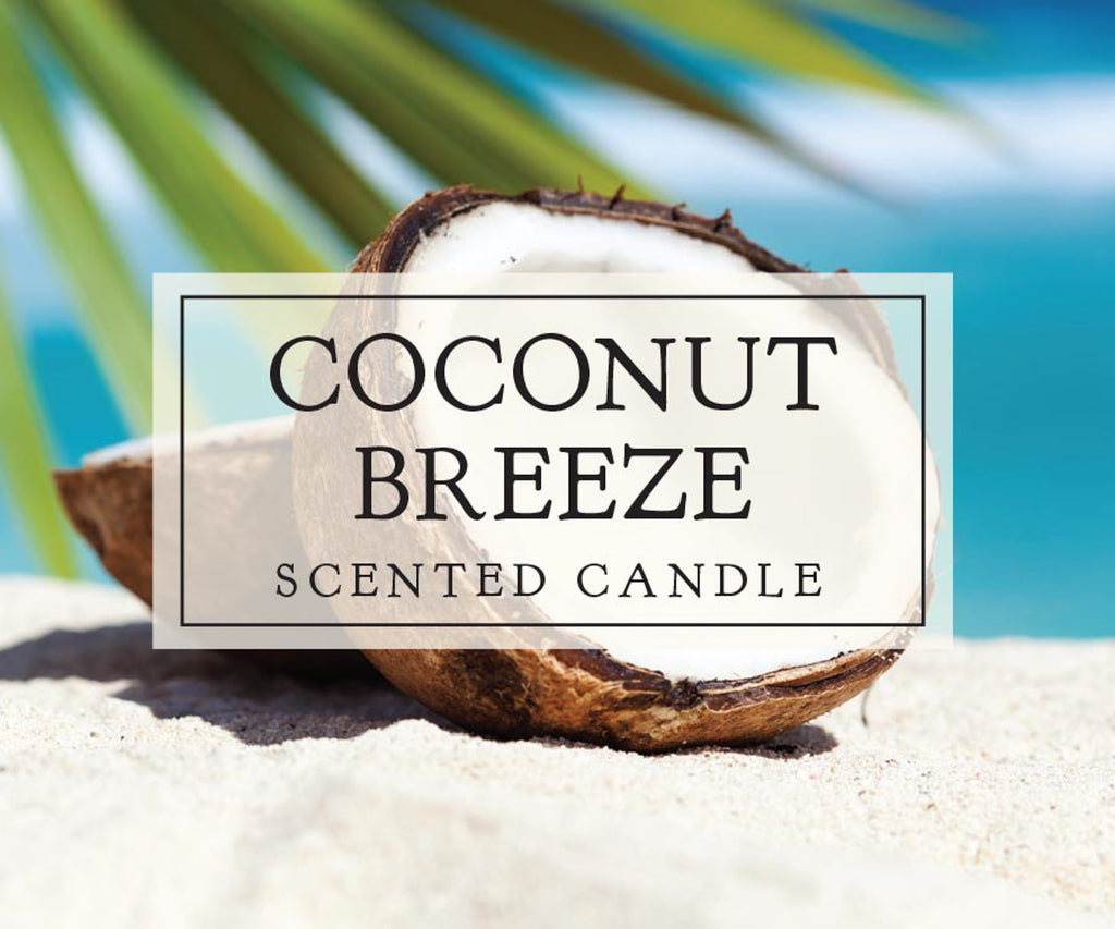 DII Coconut Breeze Single Wick Candle Set of 2