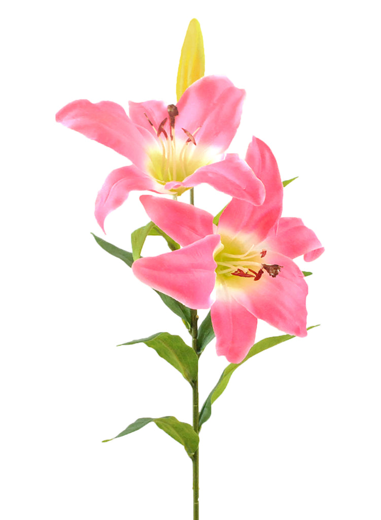 DII Flower Tiger Lily Dark Pink Set of 4