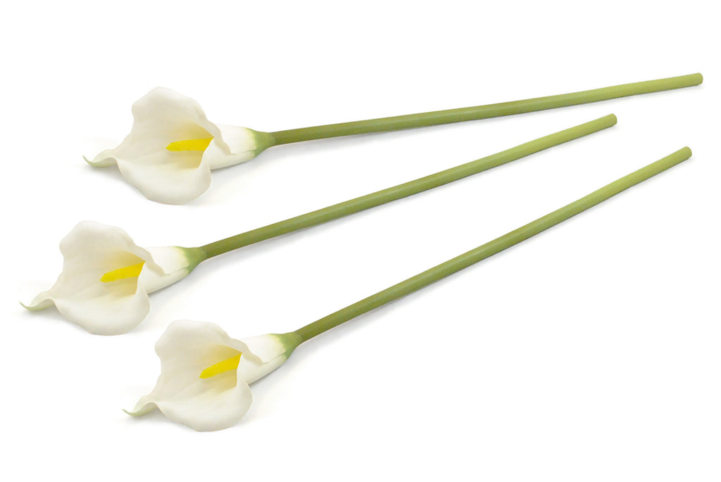 Flower Cala Lily White Set/3