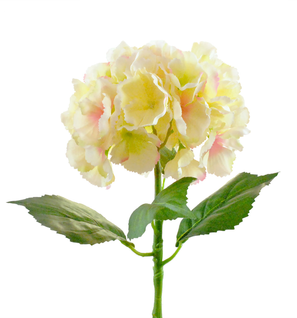 DII Flower Hydrangea White Set of 2