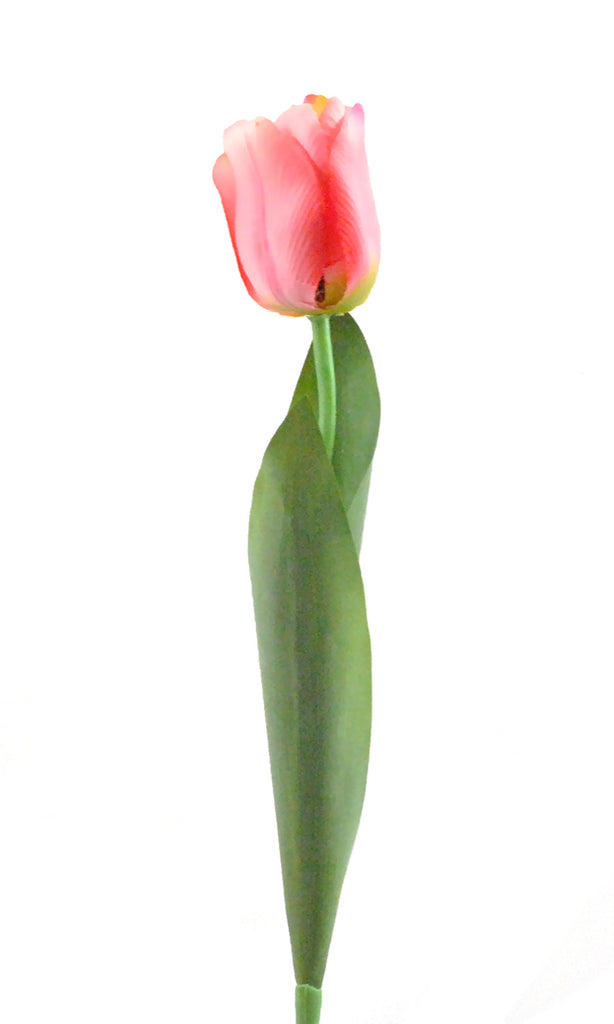 DII Flower Tulip Pink Set of 4