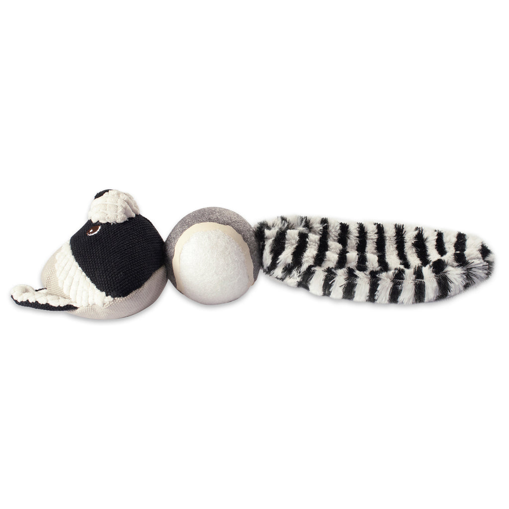 DII Raccoon Ball With Squeaker Pet Toy