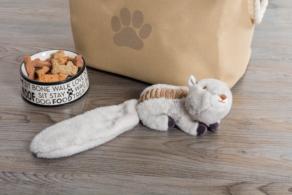 DII Squirrel & Raccoon Plush Squeaker Pet Toy Set of 2